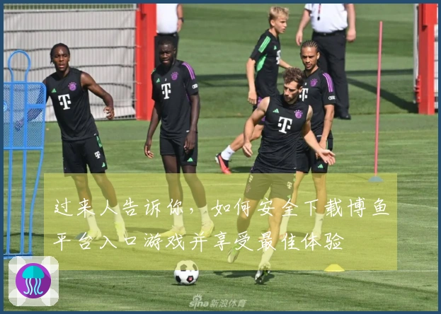 过来人告诉你，如何安全下载博鱼平台入口游戏并享受最佳体验